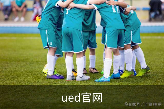 ued官网公司简介图片